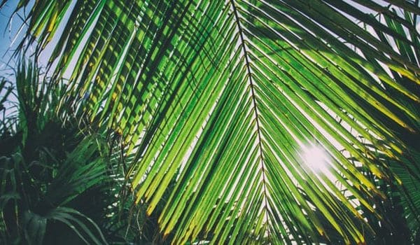 No Summer Slowdown in the Biometrics Business – This Week’s Top Stories