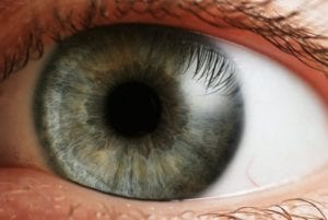 Diagnostic App Uses Pupil Measurements to Scan for Neurological Conditions