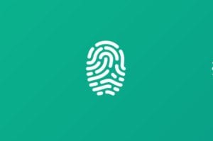 Xiaomi Maintains Biometric Tech Configuration with Latest Redmi Device