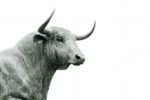 Detailed close-up photograph of a large bull statue’s head, showing its furrowed brow, flared nostrils, and curved horns in a striking monochrome style, symbolizing strength and determination.