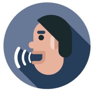 voice icon