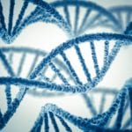 FBI Greenlights RapidHIT DNA Booking System for Police Use in the US