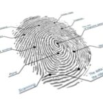 Neurotechnology Hones Fingerprint Accuracy in NIST ELFT Testing