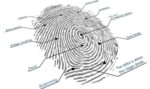 Harvard Researcher Argues for Hi-res Imaging in Fingerprint Recognition