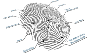 Fingerprint Biometric Checks