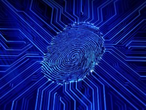 Fingerprint Biometrics