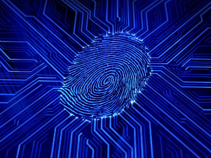 Fingerprint Biometrics