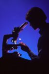 Silhouette of a person peering into a microscope against a vivid blue background, depicting scientific research or laboratory work.