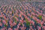 miniature american flags